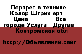 Портрет в технике “Колор-Штрих-арт“ › Цена ­ 250-350 - Все города Услуги » Другие   . Костромская обл.